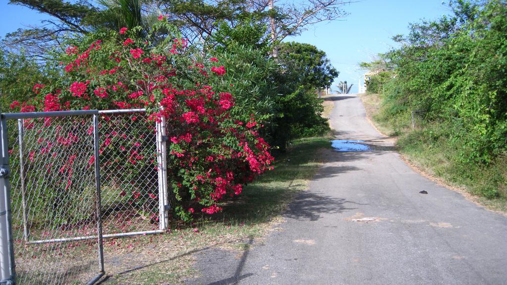 Tranquility By The Sea Vieques Exterior foto