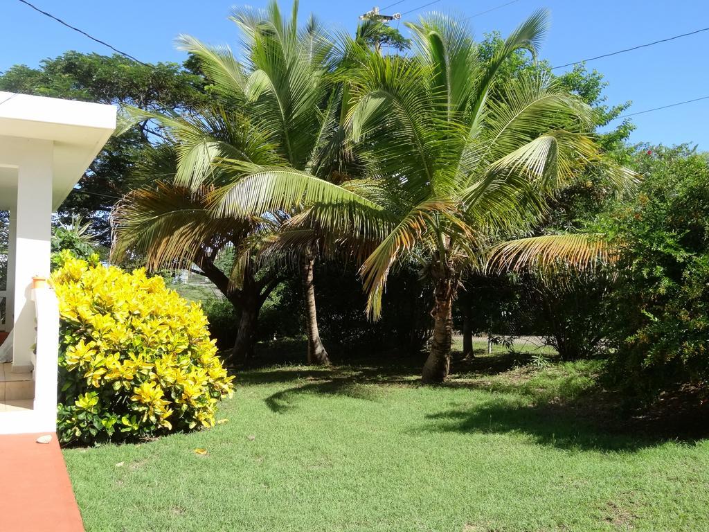 Tranquility By The Sea Vieques Exterior foto