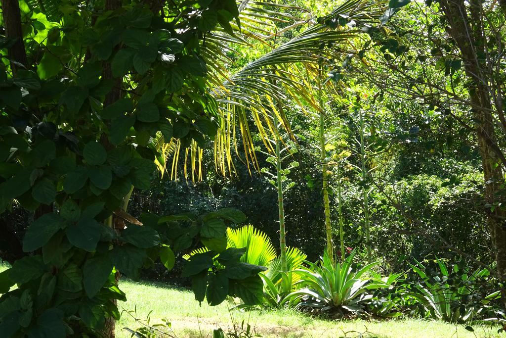 Tranquility By The Sea Vieques Quarto foto