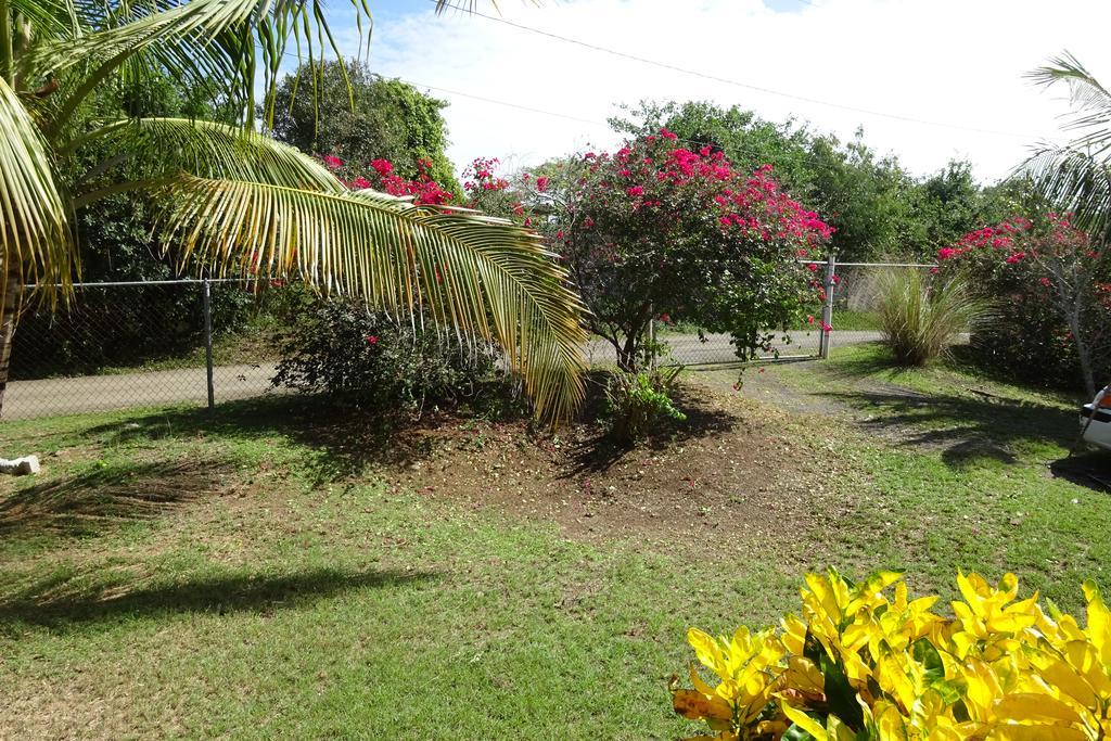 Tranquility By The Sea Vieques Quarto foto
