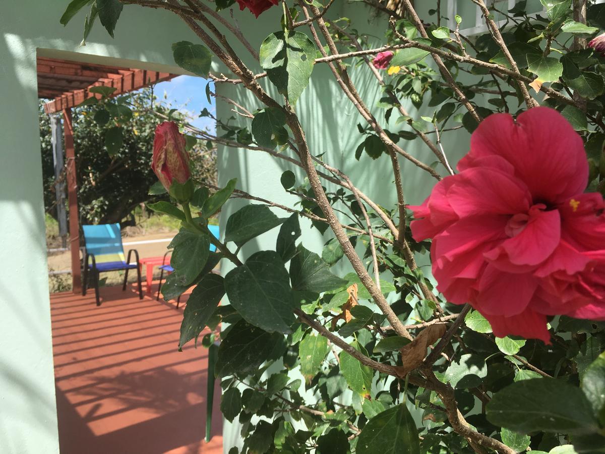 Tranquility By The Sea Vieques Exterior foto