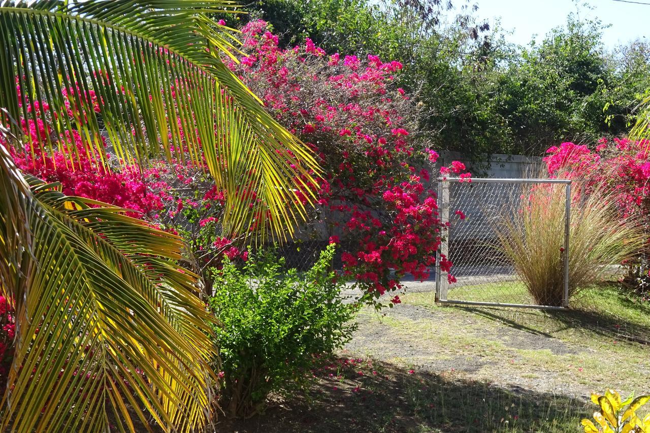 Tranquility By The Sea Vieques Exterior foto