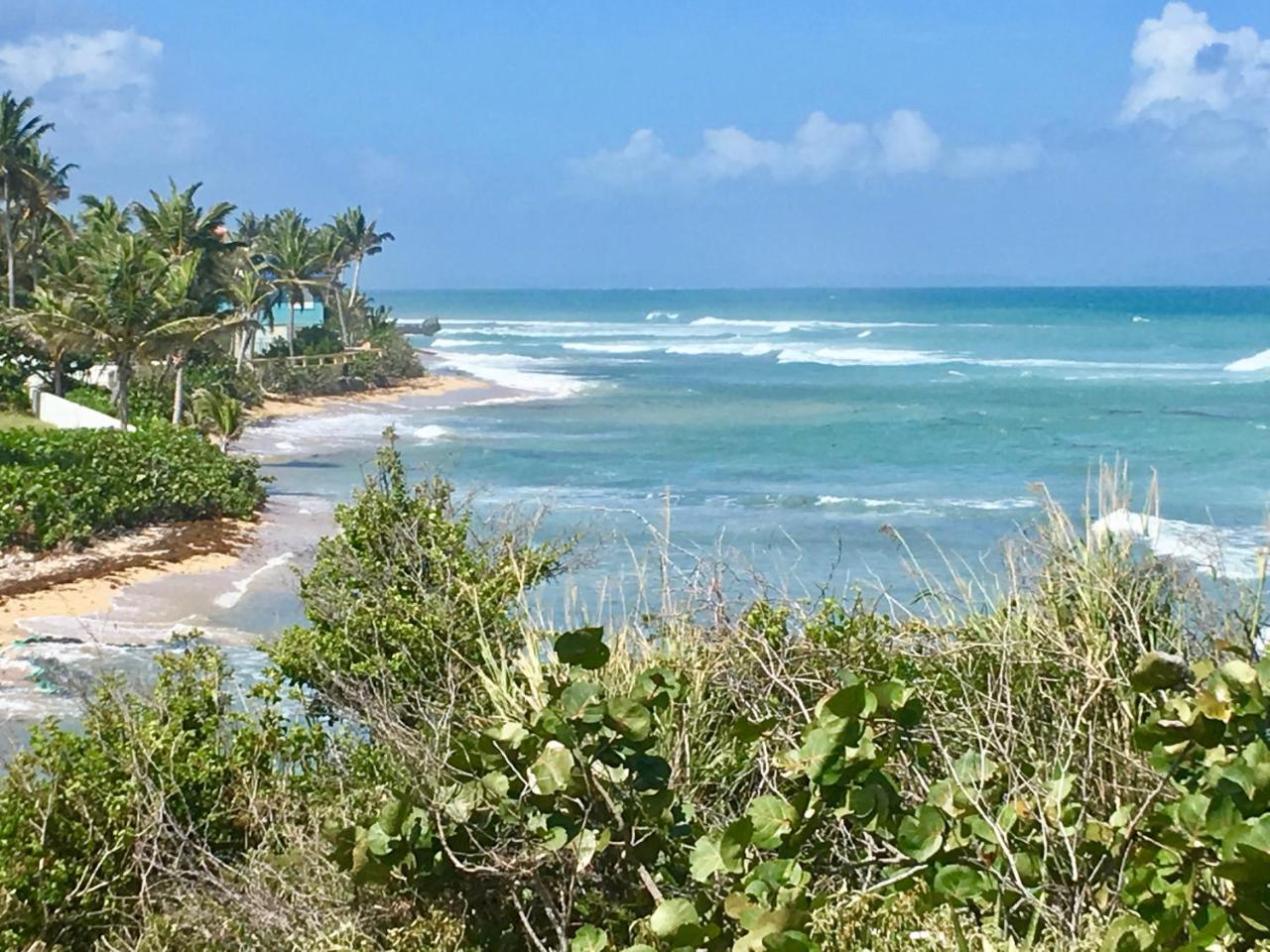 Tranquility By The Sea Vieques Exterior foto