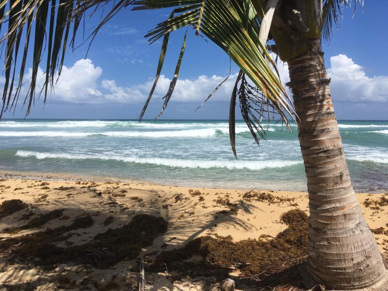 Tranquility By The Sea Vieques Exterior foto