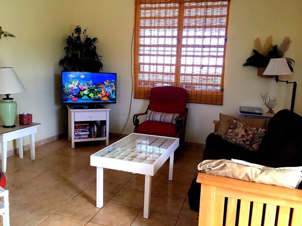 Tranquility By The Sea Vieques Exterior foto