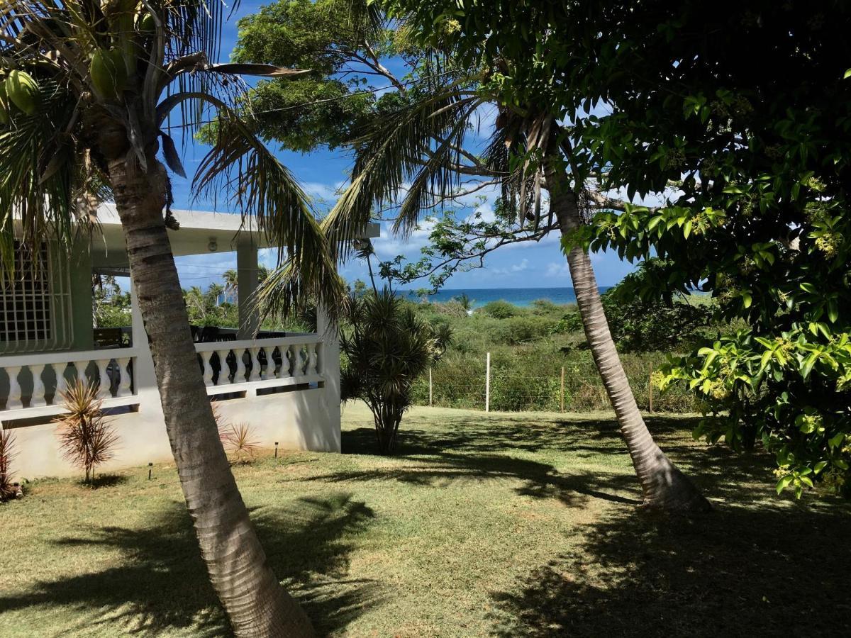 Tranquility By The Sea Vieques Exterior foto
