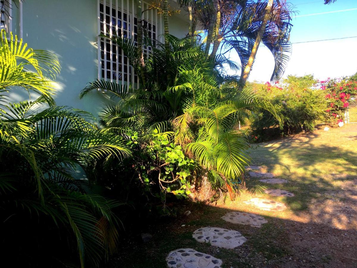 Tranquility By The Sea Vieques Exterior foto