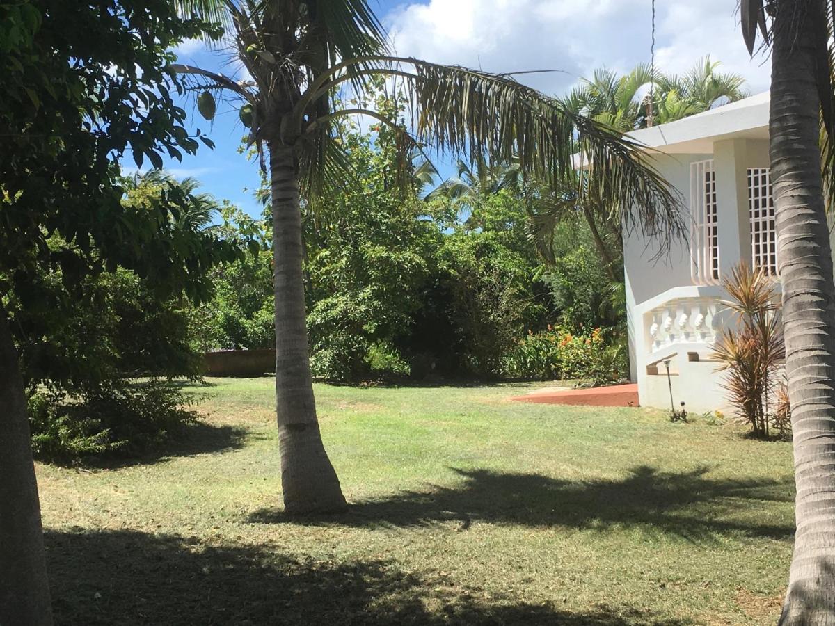 Tranquility By The Sea Vieques Exterior foto